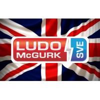 Ludo McGurk SVE logo - Similar company to Whitby Morrison