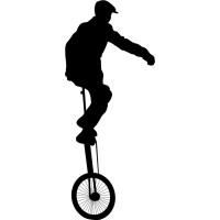 Richard Clifford Consulting Corporation logo - Similar company to Cfo Evolution