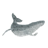 Balene in Volo logo - Similar company to Serverlab