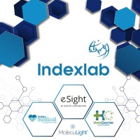 Indexlab logo - Similar company to Ip Productos Y Servicios S.A. De C.V.