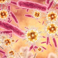 Yale Center for Infection & Immunity logo - Similar company to Alignxm