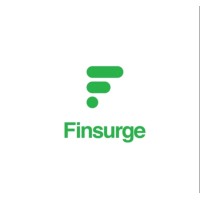 Finsurge Trading Private Limited (Ltd.) logo - Similar company to Vyonika