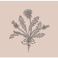 LINNAEAN logo - Similar company to Avrod Virtual Archaeology