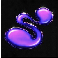 Salsa logo - Similar company to Cenario 2
