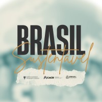 BRASIL SUSTENTÁVEL logo - Similar company to Prodesivo Distribuidora