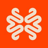 The Brainz logo - Similar company to Rce Digital