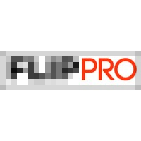 FLIPPRO SERVICES PRIVATE LIMITED logo - Similar company to Mint Academy