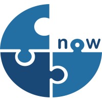 SolutionNow logo - Similar company to Solutionnow Consultancy