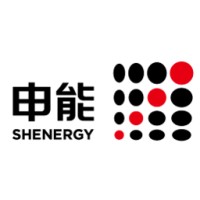 Shanghai Shenergy ICY Capital Co., Ltd. logo - Similar company to Skytec Group Ltd