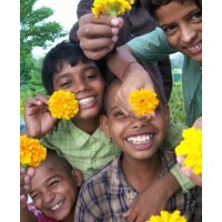 Rama Foundation logo - Similar company to De Expert Group International