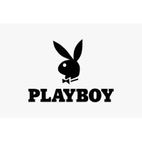 Playboy Venues India logo - Similar company to Selectum Search