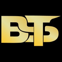 BEST TECH SOFTWARE SOLUTIONS logo - Similar company to Techbionics