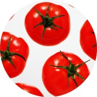 GO-POMODORO logo - Similar company to Evergrant