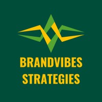 brandvibes strategies logo - Similar company to Researchs Edge Solution