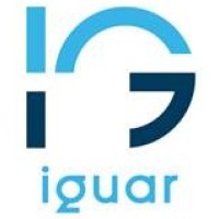 IGUAR logo - Similar company to Pavitek