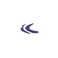 Birkeland Current logo - Similar company to Sovrinti