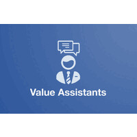 Valueassistants logo - Similar company to Splitsea Ai