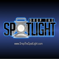 Drop The Spotlight Company logo - Similar company to Malayla Interactive