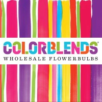 Colorblends Wholesale Flowerbulbs logo - Similar company to In Geveb: A Journal Of Yiddish Studies