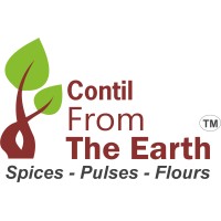 Contil India Ltd logo - Similar company to Sonaflex Industries