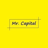 Mr. Capital® logo - Similar company to Mr Capital