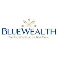 BlueWealth logo - Similar company to Winable Consultancy Services