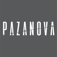 Pazanova Digital Marketing Agency logo - Similar company to Netminds