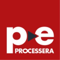 ProcessEra Cyber Security logo - Similar company to Okdatek Technology & Cyber Security