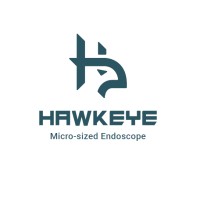 Hawk-Eye(3C TAEYANG) logo - Similar company to 3C Taeyang