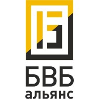 BVB Alliance logo - Similar company to Türkçe