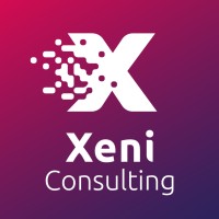 Xeni Consulting logo - Similar company to Syndi.Be