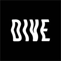 DIVE logo - Similar company to Elevenfiftyfive
