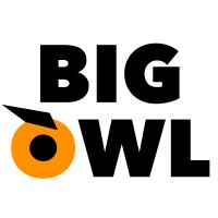 Big Owl Consulting logo - Similar company to 3D Investing
