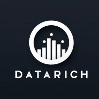 Datarich logo - Similar company to Datarich
