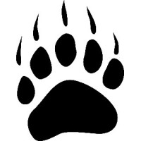 Bear Paw Capital logo - Similar company to P.A.W. Capital Partners