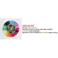 Ascolite Vietnam Trading Co Ltd logo - Similar company to Ascolite