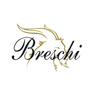 Lanificio Breschi Srl logo - Similar company to Emmetex