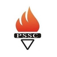 petrosanatsaba logo - Similar company to Vropt