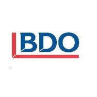 BDO Maldives LLP logo - Similar company to Shaurya Capital