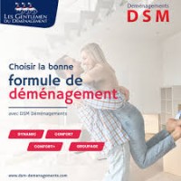 DSM Les Gentlemen du déménagement logo - Similar company to Neodeme