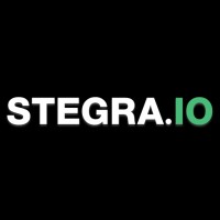 Stegra.io logo - Similar company to Detecht - Motorcycle App And Gps Navigation