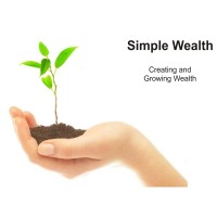 Simple Wealth Financial Services logo - Similar company to Moneysmart India