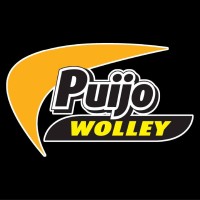 LP Puijo logo - Similar company to Millpoint Oy