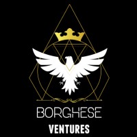 Borghese Ventures logo - Similar company to Consulate Of The Kingdom Of Tonga