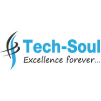 Tech-Soul Technologies logo - Similar company to Network Components And Solutions Ltd
