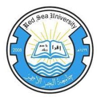 Red Sea University-Somalia logo - Similar company to Horsan Tech