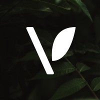 VITEKA logo - Similar company to Tec-Aliado