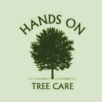 Hands On Tree Care