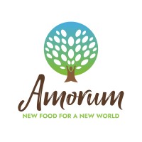 Amorum logo - Similar company to Lorusso Consulting
