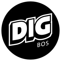 DigBoston logo - Similar company to View Store